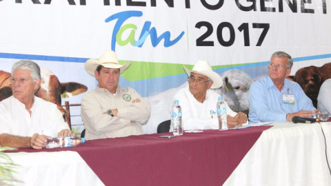 Ofrece Mejoramiento Genético Tam 2017 sementales de calidad