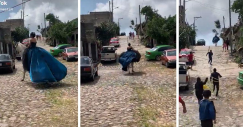¡Y se marchó! Caballo "rapta" a quinceañera y huye a toda velocidad 