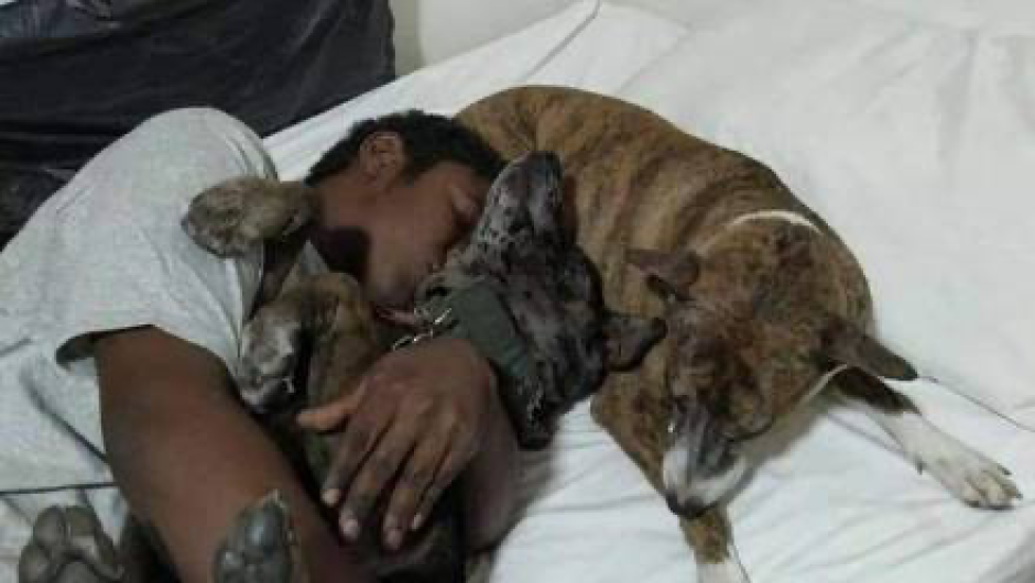 Admiten en refugio a hombre que celebró cumpleaños con perritos
