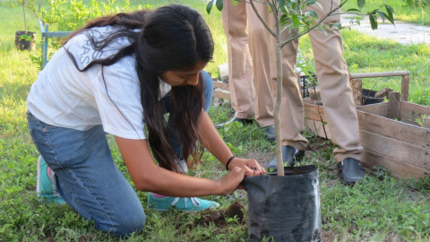 Realizan jóvenes actividades de reforestación