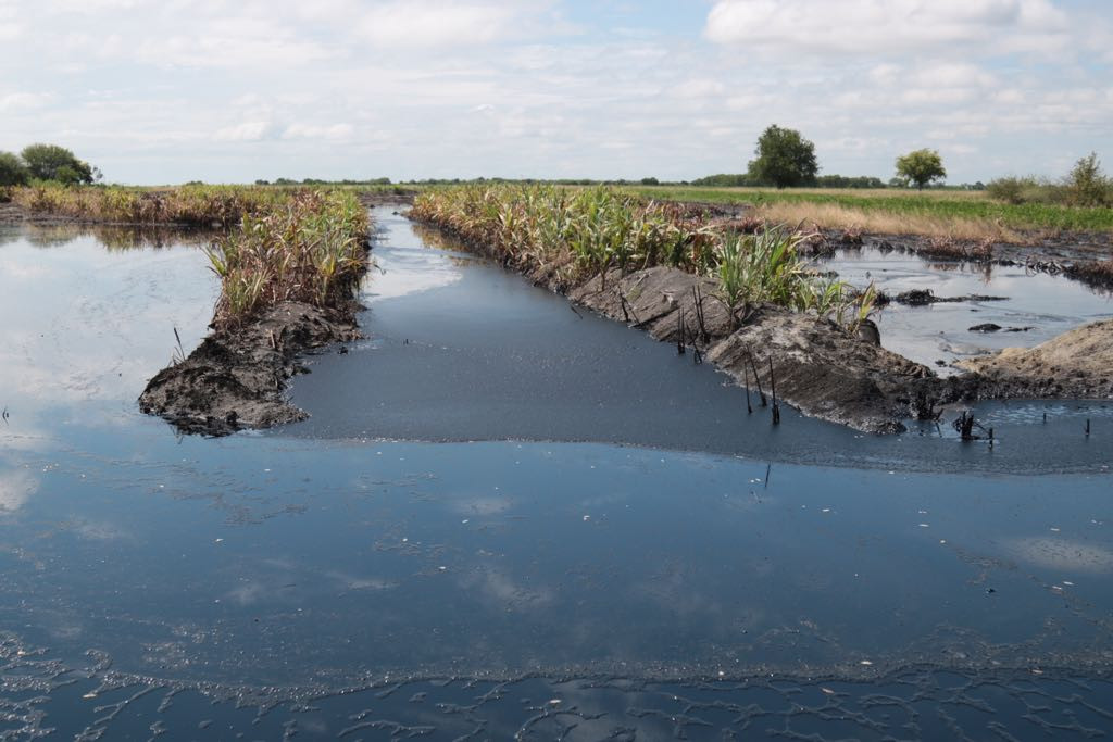 Derrame de petróleo afecta parcelas de siembra y cuerpos de agua
