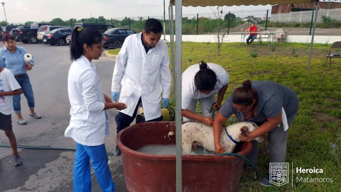 Llevan a cabo programa "Mascota Sana, Familia Sana"
