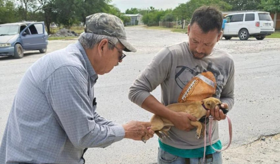 Realiza SST campaña preventiva para la detección de rickettsiosis