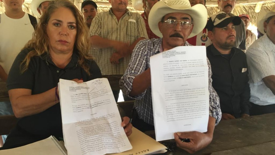 Denuncian robo de caballos en la zona sur