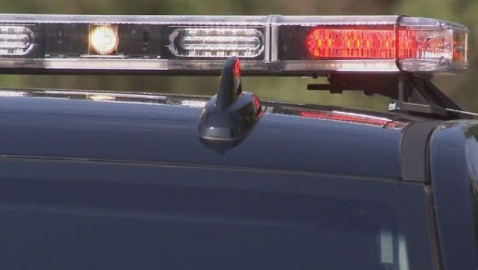 Mujer es atacada por tres pitbulls en Dallas