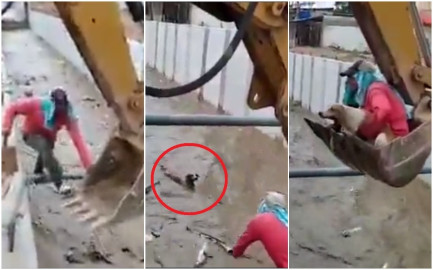 Obreros rescatan con excavadora a perrita que cayó a un canal
