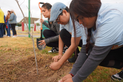 Plantarán más de 3 mil árboles en Nuevo Laredo;inicia gobierno municipal jornada de reforestación masiva 