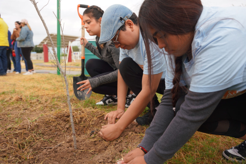 Plantarán más de 3 mil árboles en Nuevo Laredo;inicia gobierno municipal jornada de reforestación masiva 