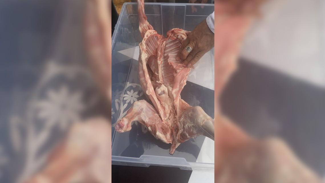 Arranca 1ra Feria Agroalimentaria Tamaulipas