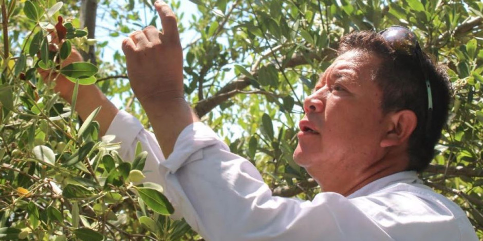 Preparan en Tamaulipas recuperación de Manglares amenazados