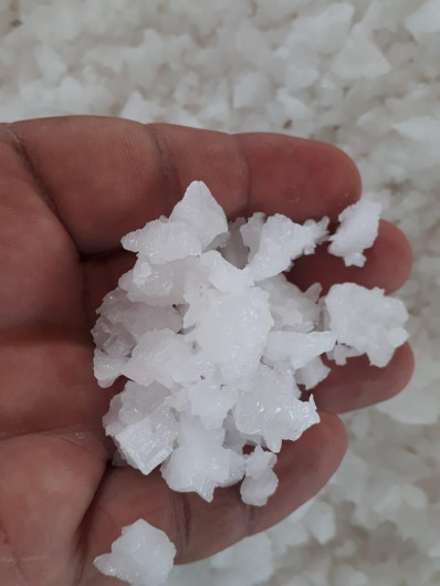 Termina la cosecha de sal en Altamira, productores requieren de mejor equipo para mejorar la producción