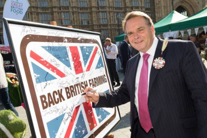 Cachan a diputado británico viendo pornografía en plena sesión