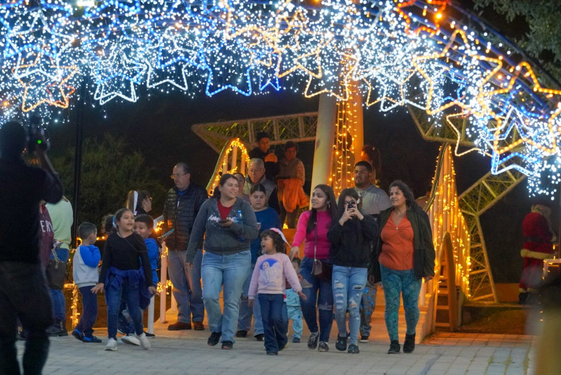 Disfrutar locales y visitantes del gran espectáculo navideño del 'Viveros Mágico'