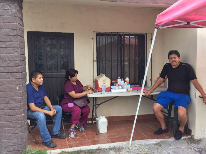 Activistas ofrecen consultas a bajo costo para caninos y felinos 