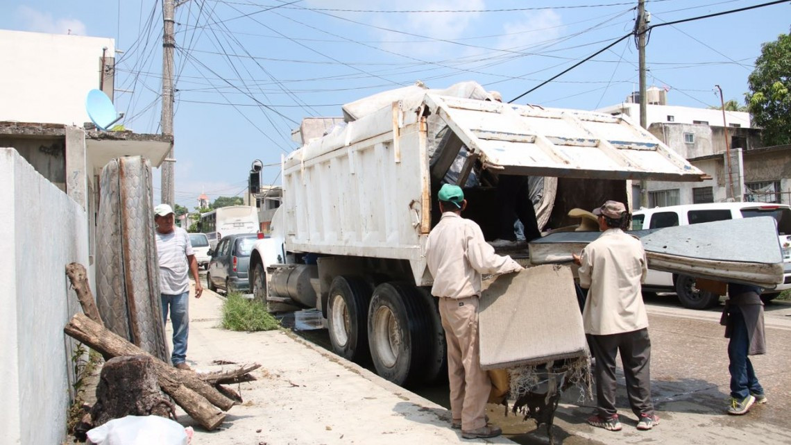 Gobierno de Madero y Jurisdicción Sanitaria juntos contra enfermedades transmitidas por vector