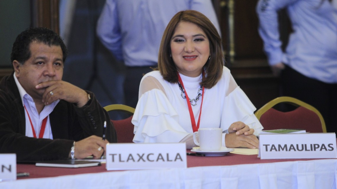 Participa Tamaulipas, en la 2da Sesión Ordinaria  CONASETRA