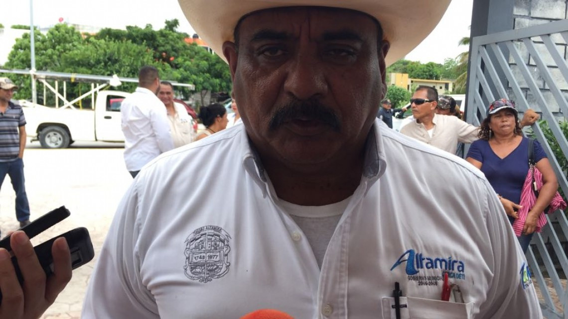 Siembra de algodón genera inquietud por plagas que afecten la soya