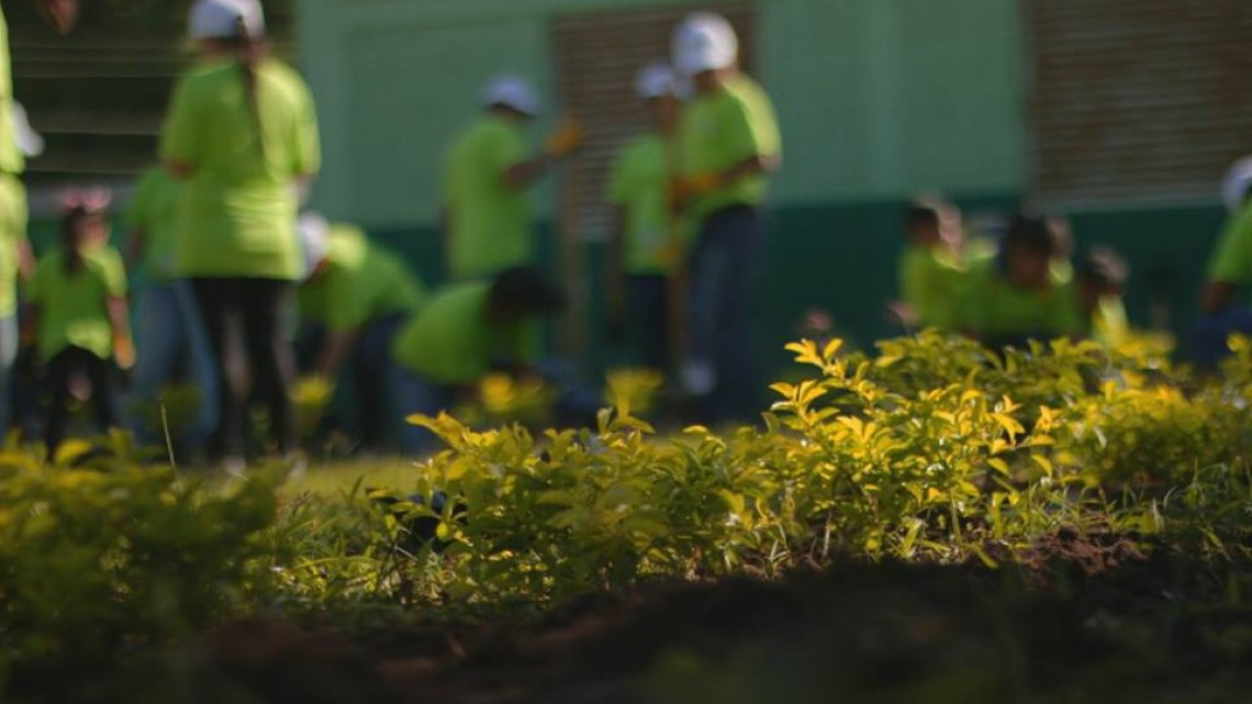 Realizan  trabajos de reforestación