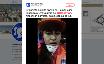 Piden zapatos para perros rescatistas