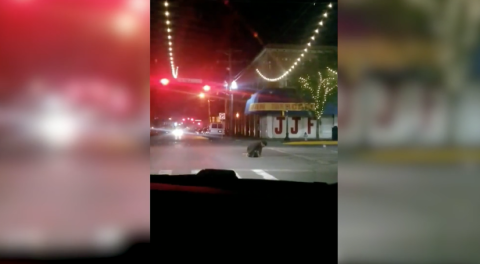 Captan a Migrantes llegar a EUA por alcantarilla