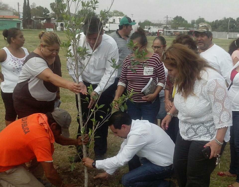 Regidor promueve reforestación de áreas verdes 