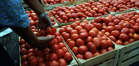 EU rechaza cargamento de 300 toneladas de legumbres 