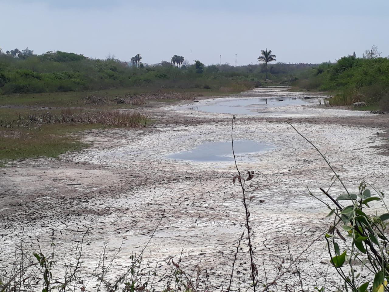 Bajos niveles de agua generan problemas a zona rural de Altamira