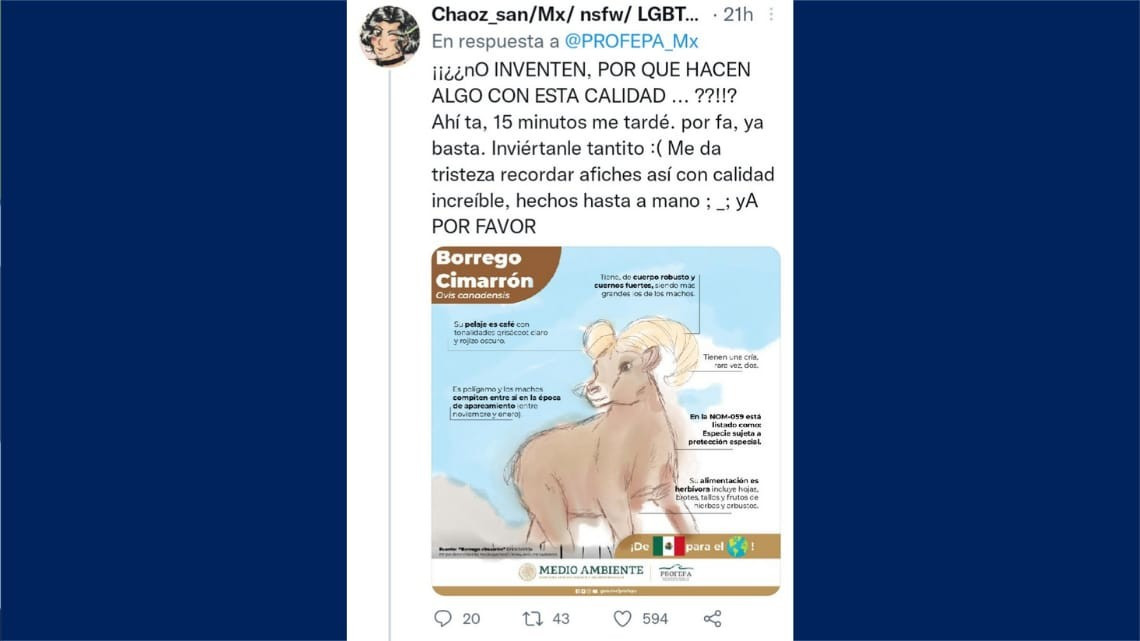 Tunden a la Profepa en redes por sus diseños de flora y fauna mexicana