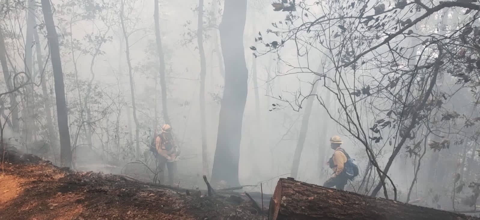 Incendio en sierra de Hidalgo arrasa 190 hectáreas