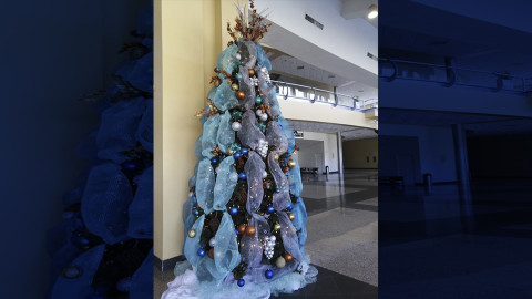 Convocan a concurso de pinos navideños