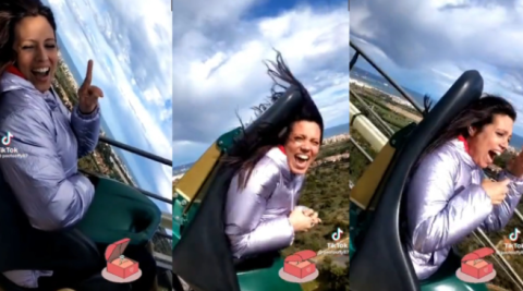 Hombre pide matrimonio a su novia en plena montaña rusa 