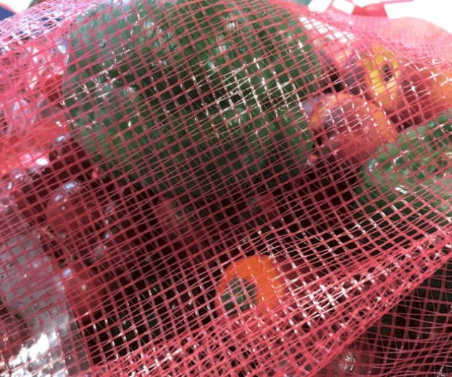 Banco de Alimentos de RGV apoya agencias locales 