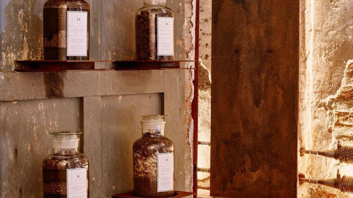 El arte de transformar las heces, el Museo del Excremento