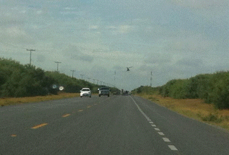 Es Reynosa - San Fernando el tramo más peligroso: PF