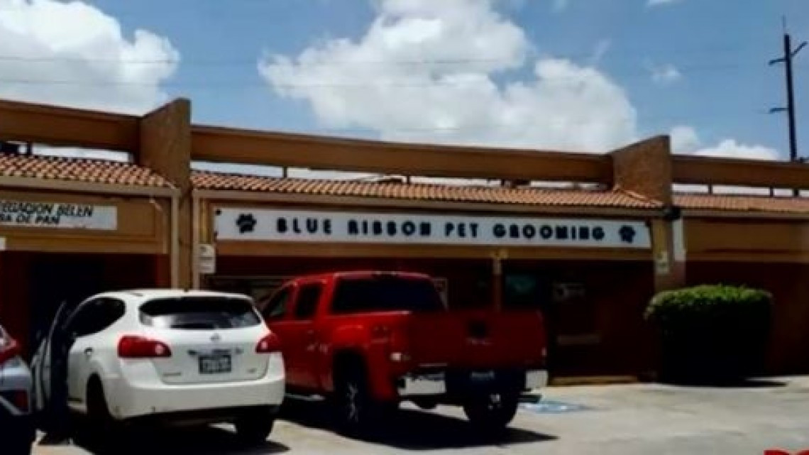 Estética canina de Brownsville es denunciada por maltrato animal