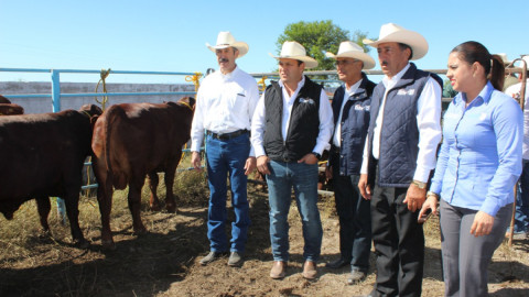 Arranca Mejoramiento Genético Tamaulipas 2017