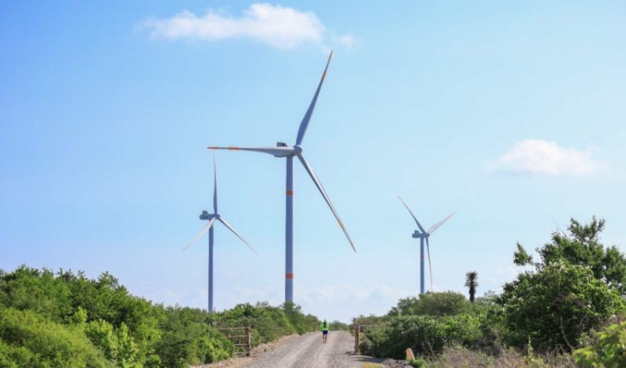 Tamaulipas aspira a ser el principal estado productor de energía eólica del país: secretario de Energía