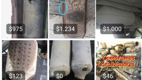 Exhorta SEDUMA a ciudadanos, no retirar el catalizador de los vehiculos