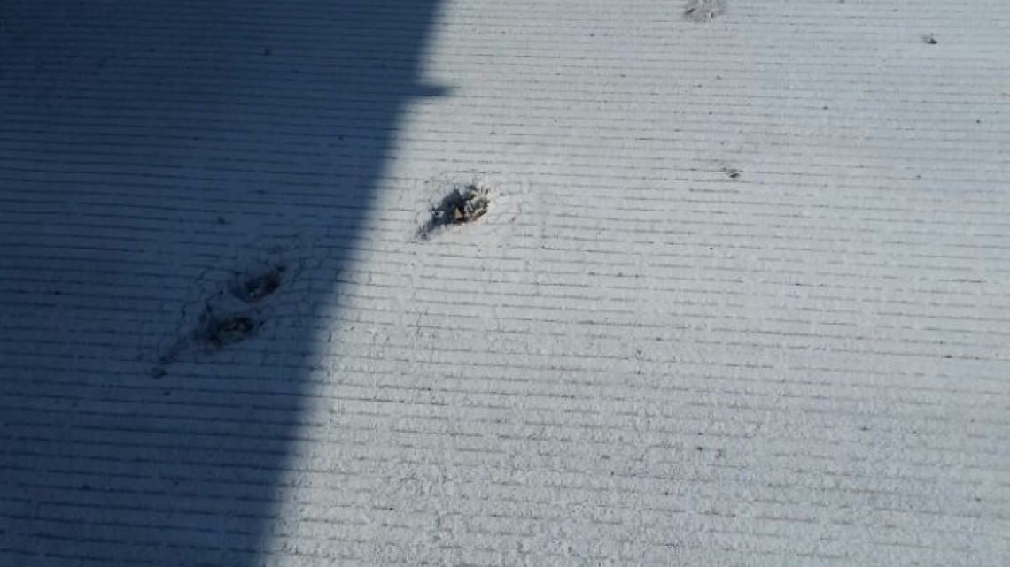 Invita alcaldesa a cuidar infraestructura de la ciudad