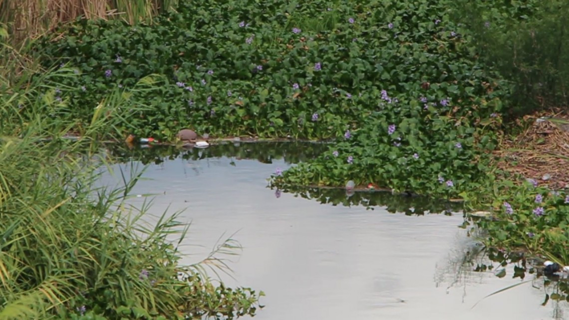 Este lunes Iniciarán los Trabajos preventivos de limpieza en el dren Rio Bravo.
