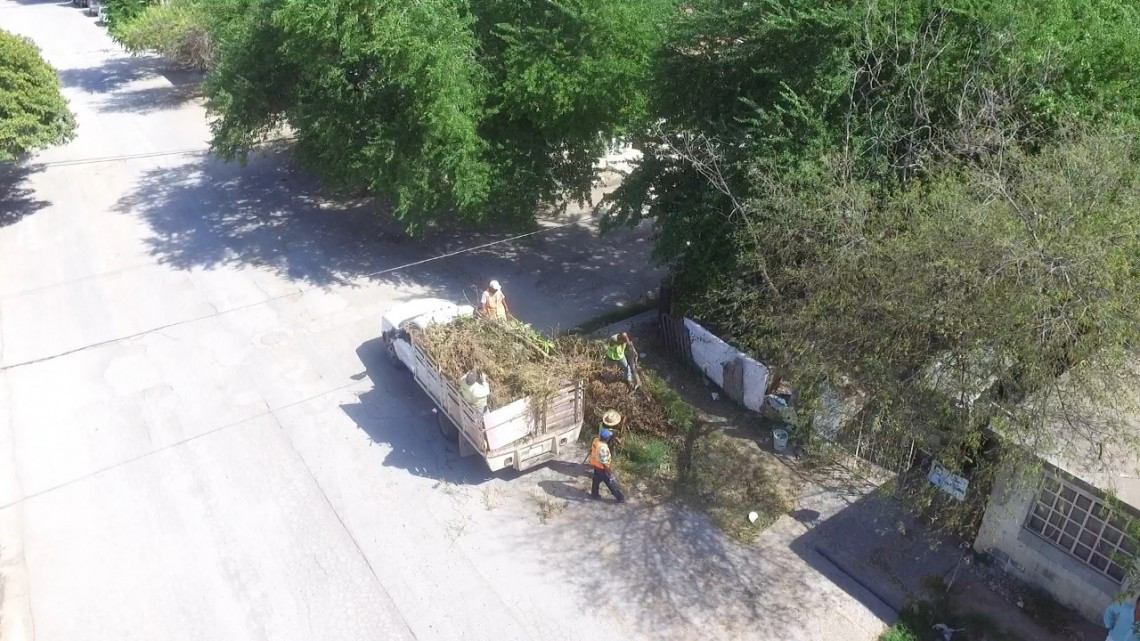 El Gobierno municipal avanza en recolección de basura.