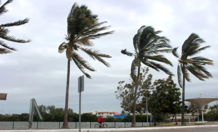 ¿Viento y frío? Conoce el clima para este domingo 16 