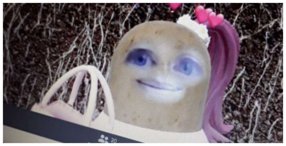  Profesora da clases en Zoom con filtro de cara de papa y viraliza