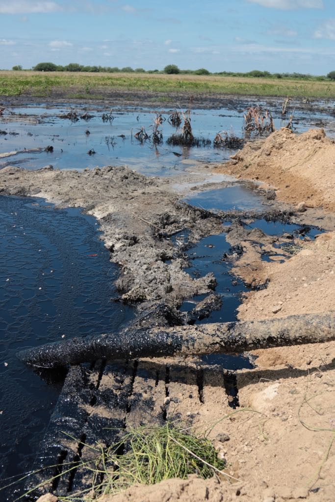 Evalúan acciones a emprender por contaminación generada por el derrame de crudo