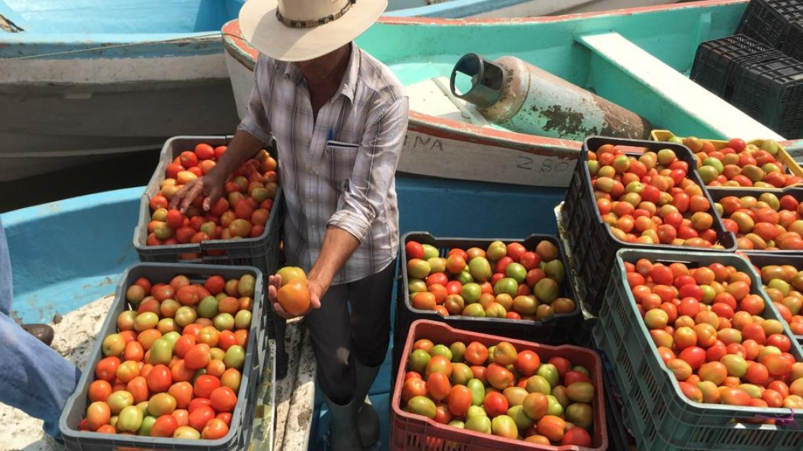Lamentan recortes del presupuesto para el campo