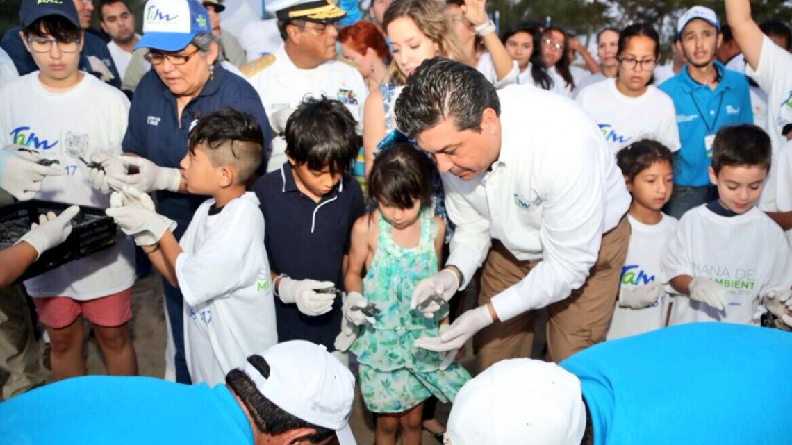 Liberan más de mil crías de tortuga lora en Tamaulipas