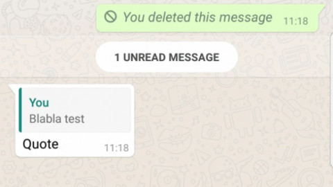 Mensajes citados imposibles de eliminar: Whatsapp