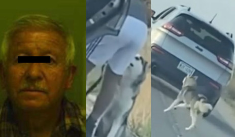 Detienen a un hombre en Texas por abandonar a su perro