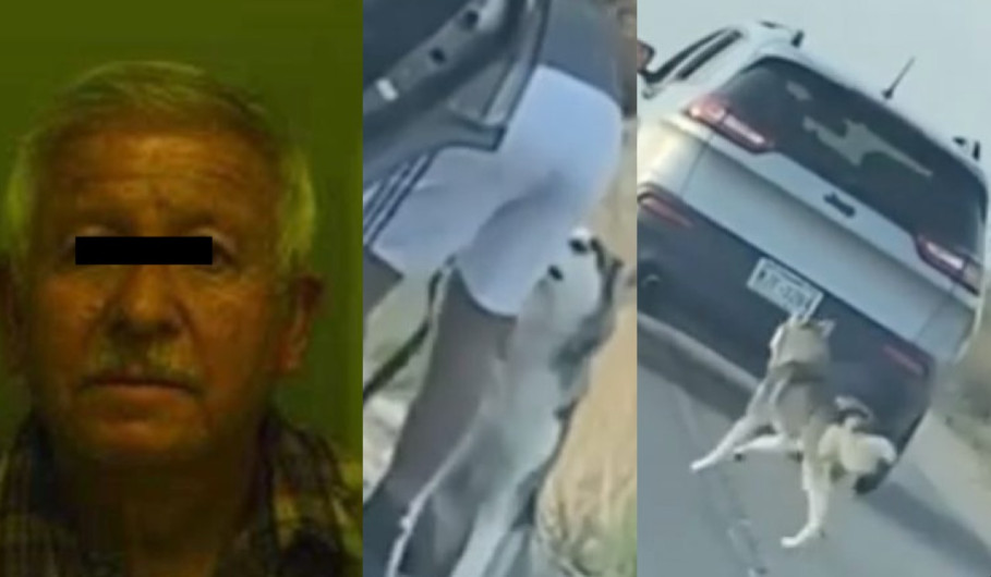 Detienen a un hombre en Texas por abandonar a su perro