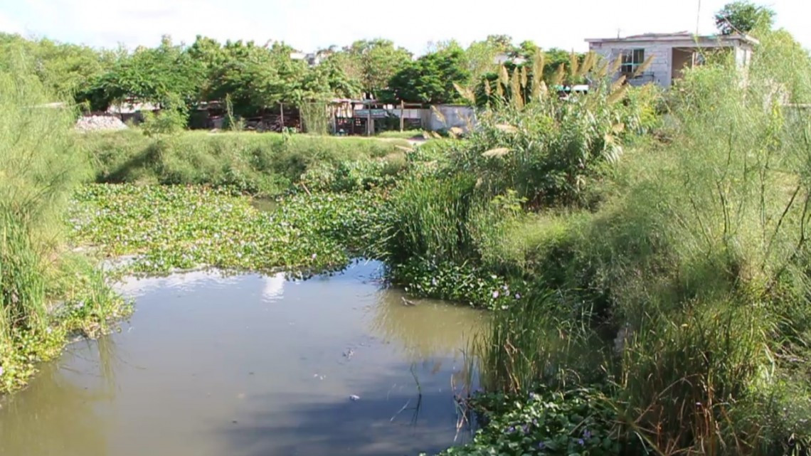 Este lunes Iniciarán los Trabajos preventivos de limpieza en el dren Rio Bravo.